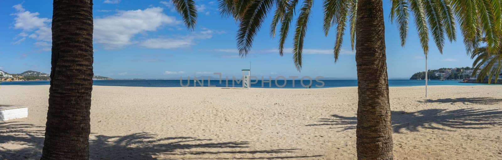 Palm trees cast shadows on a beach, with a lifeguard tower standing between sea and sky.