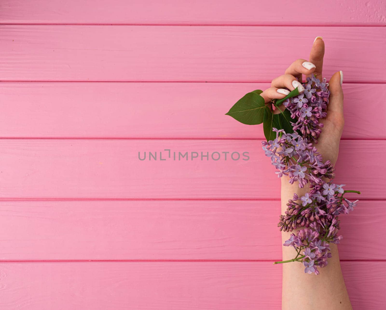 Summer abstract background mockup template free copy space for text pattern sample top view above pink wooden board. blank empty area for inscription. woman hand manicure hold blossom flowers lilac