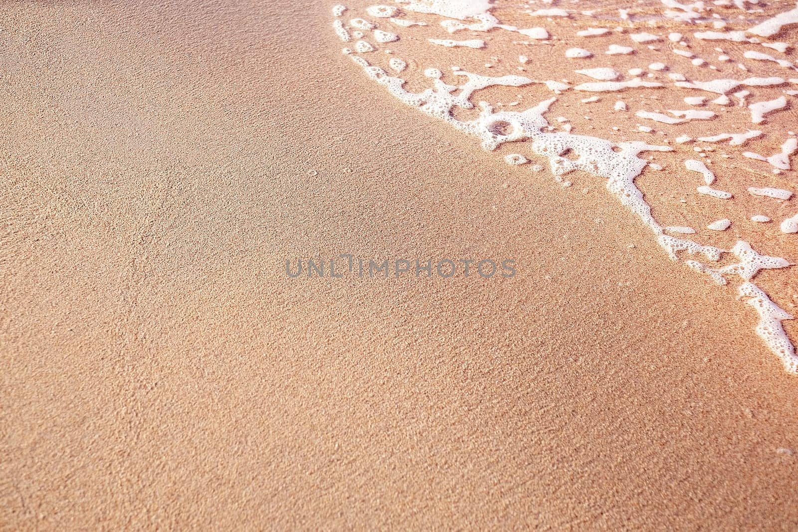 Golden sand, beach, wave on sunny day. Copy space