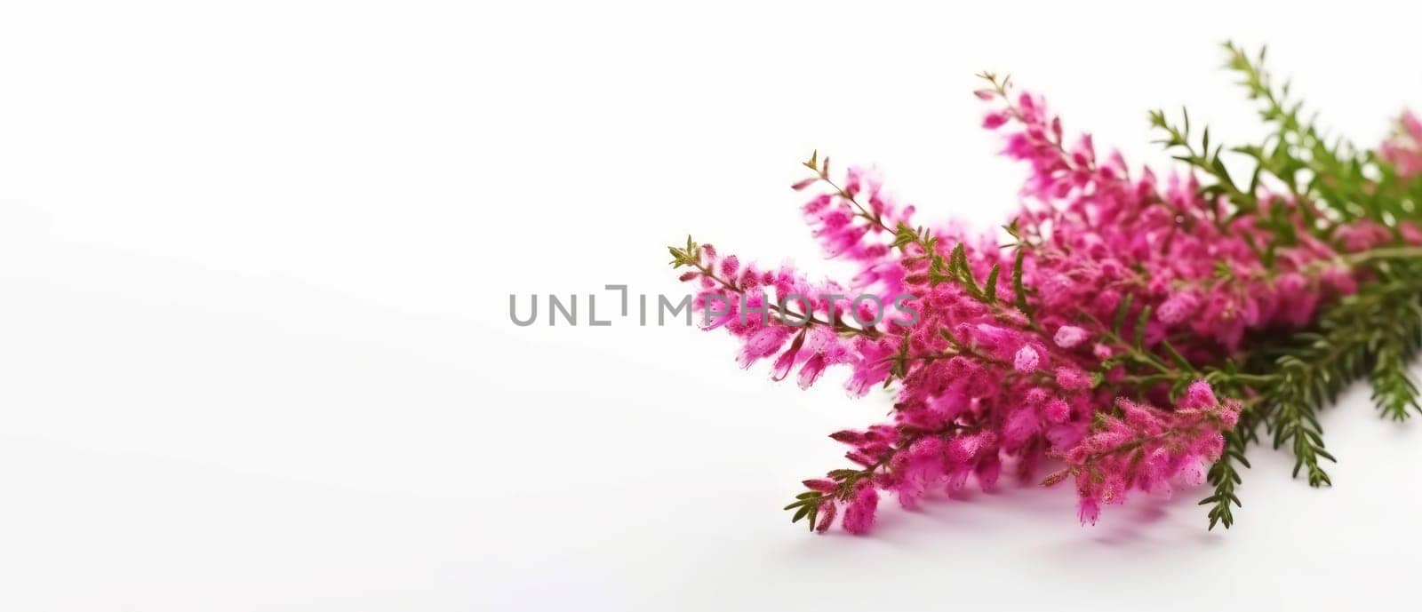 Branches heather banner. Nature floral. Generate Ai