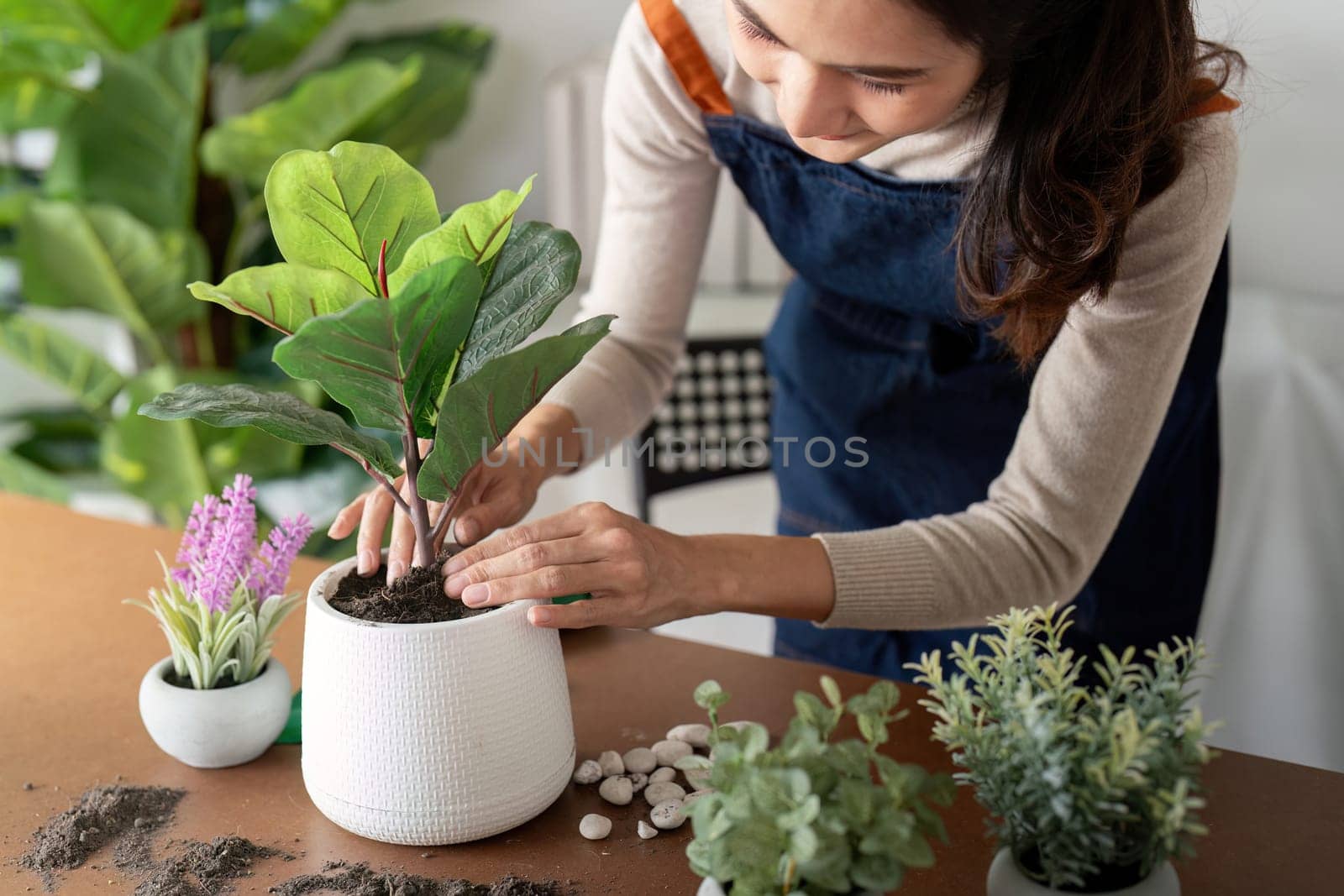 The concept of eco friendly housing, plant care and gardening. Relax home gardening. Gardener woman asian hand planting flower in pot. woman takes care of plant by nateemee