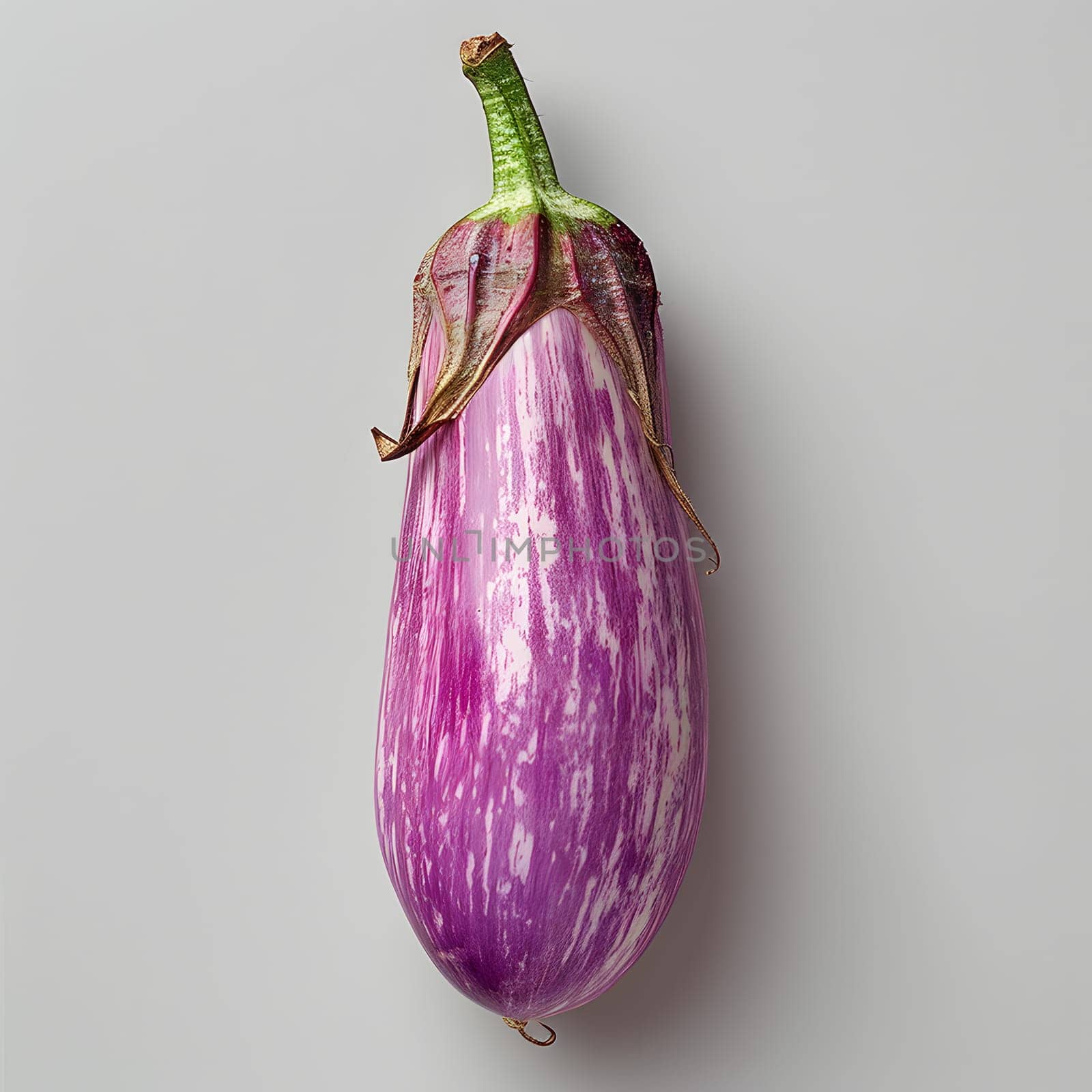 A magenta and white eggplant with a green stem, a vegetable and staple food by Nadtochiy
