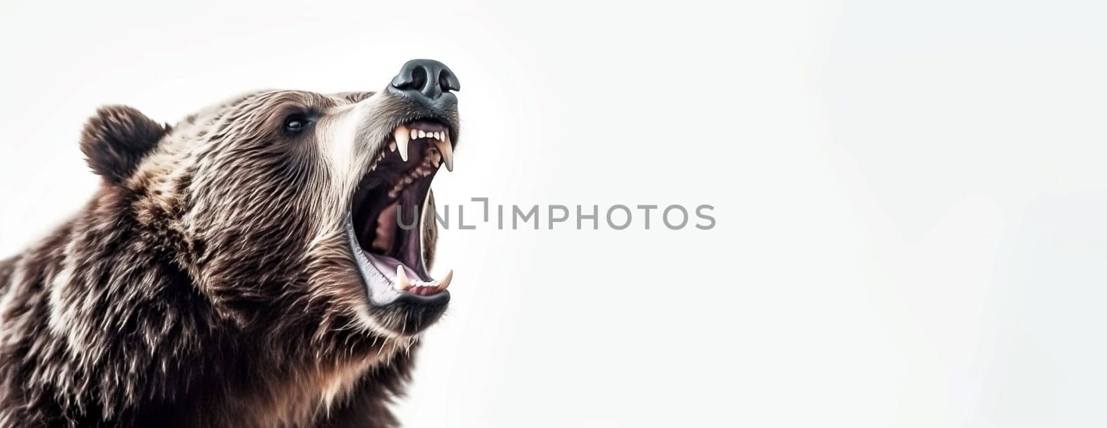 Bear screaming face zoo banner. Generate Ai by ylivdesign