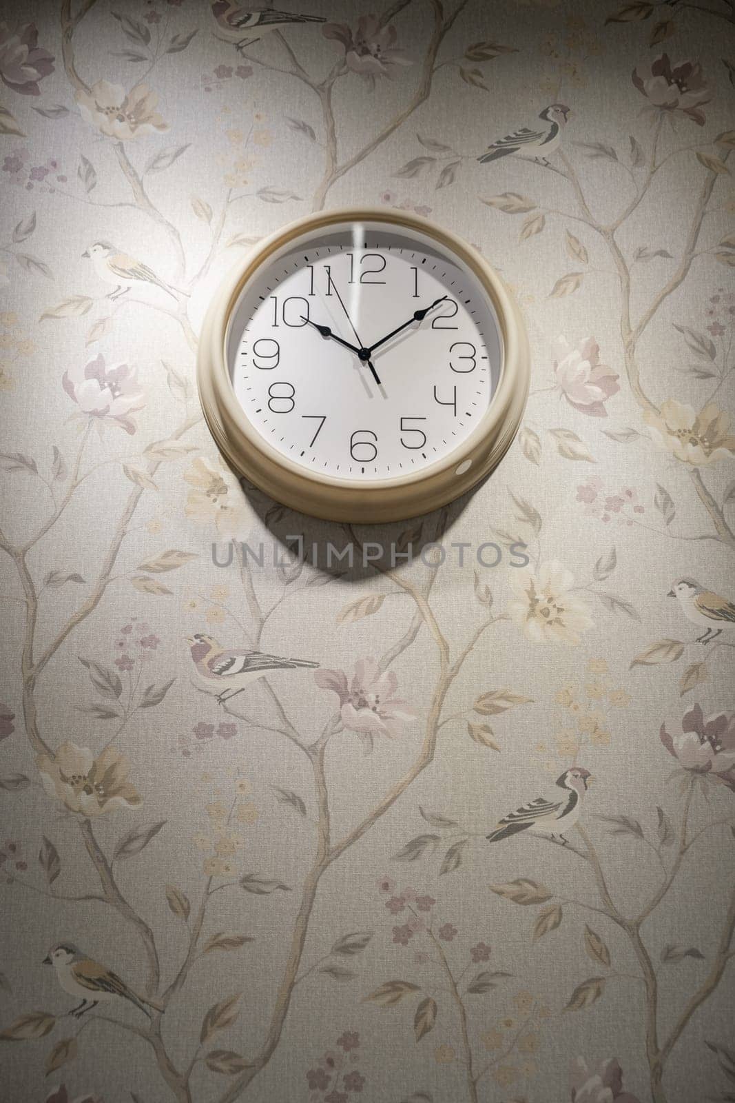 A round clock on the wall indicates the exact time. decor in the room by AnatoliiFoto