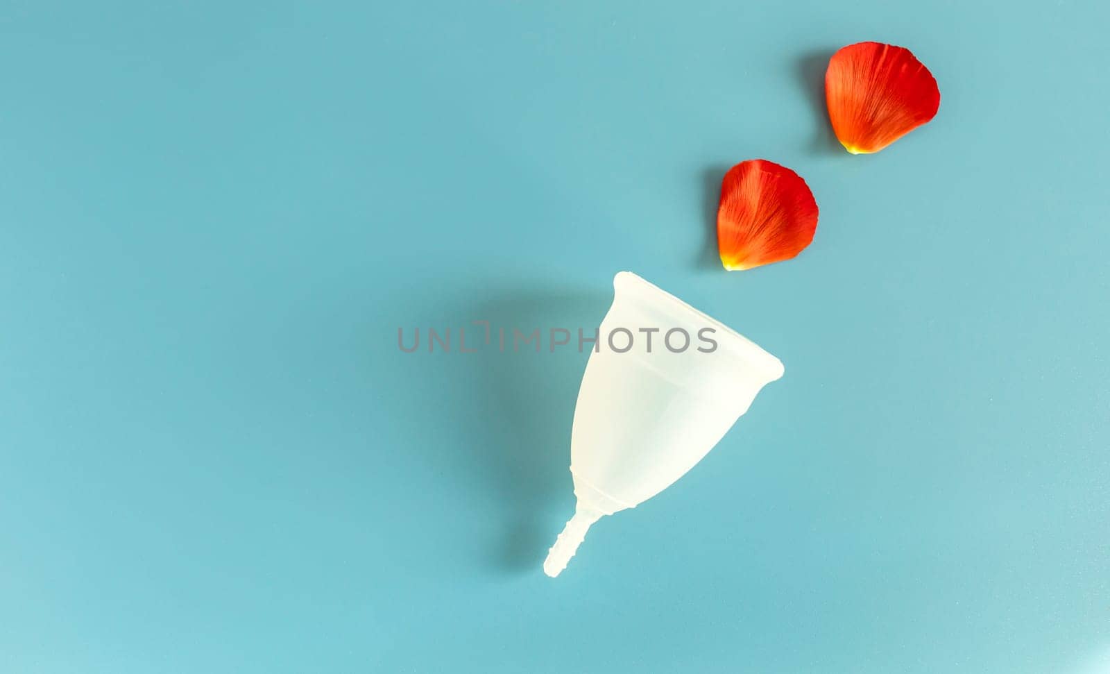 Mockup World Menstrual Hygiene Day, 28th May. Silicone Period Cup, Disk with Red Flower Petals, View From Above. Space For Text. Horizontal Design, Template. Intimate Hygiene. Menstruation Cycle by netatsi