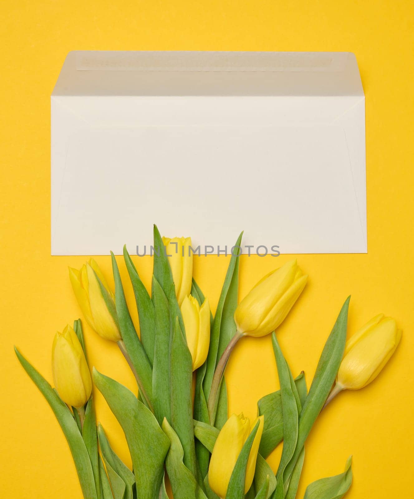 Envelope and bouquet of blooming yellow tulips with green leaves on a yellow background, top view