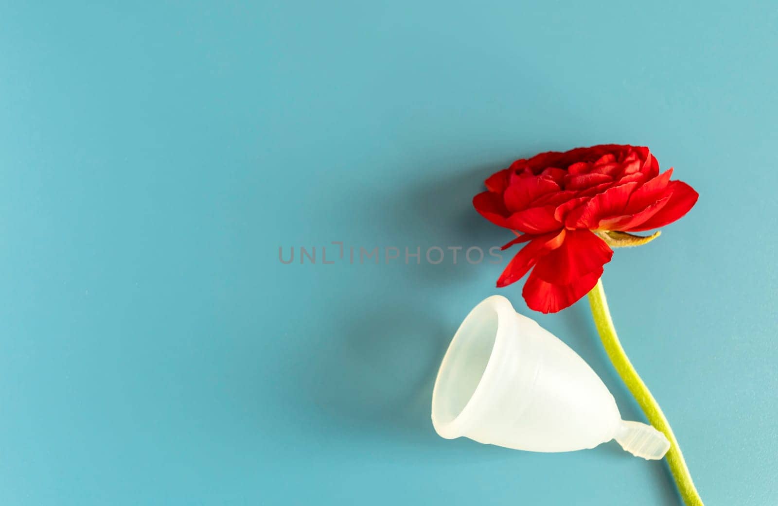 Mockup National Infertility Survival Day, May 1. Silicone Period Cup and Red Flower, View From Above. Space For Text. Horizontal Design, Template. Intimate Hygiene. Menstruation Cycle Copy Space by netatsi