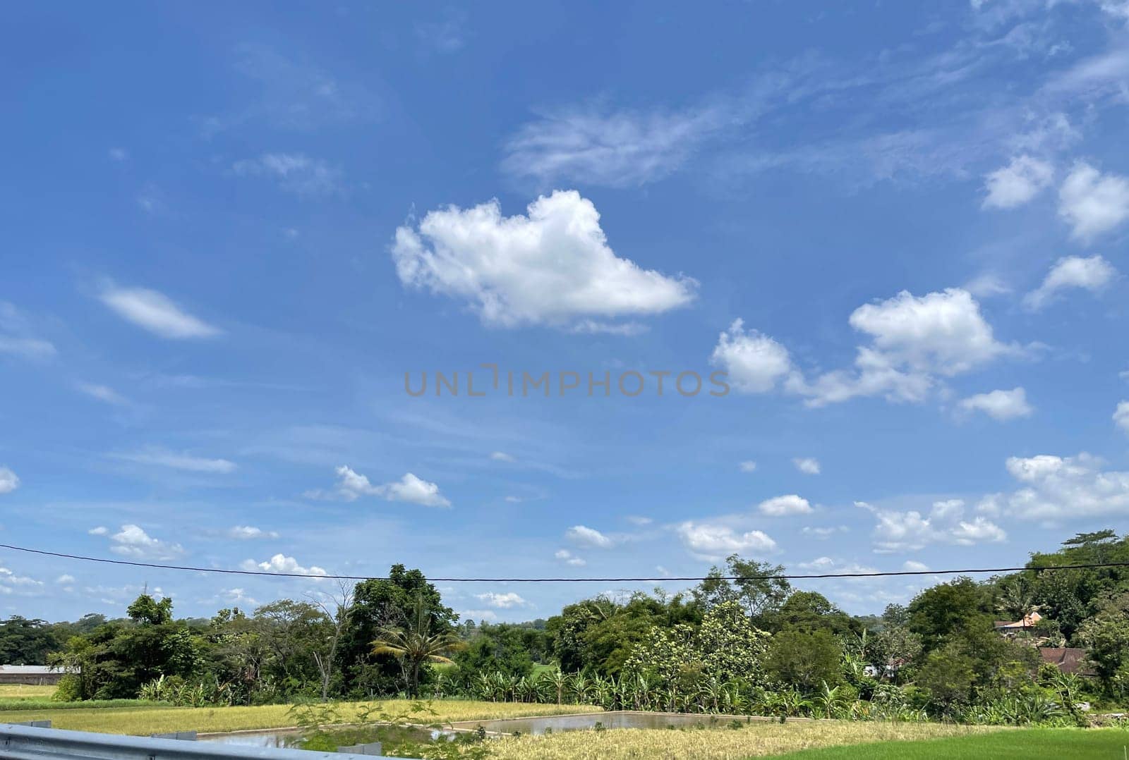 beautiful view of landscape and green view with blue sky and white cloud natural view and green fields