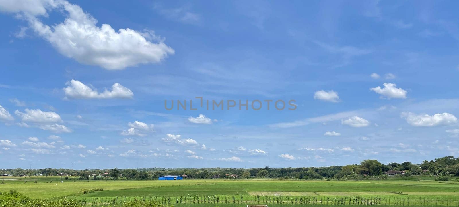 beautiful view of landscape and green view with blue sky and white cloud natural view and green fields