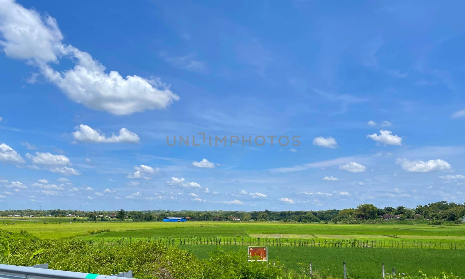 beautiful view of landscape and green view with blue sky and white cloud natural view and green fields