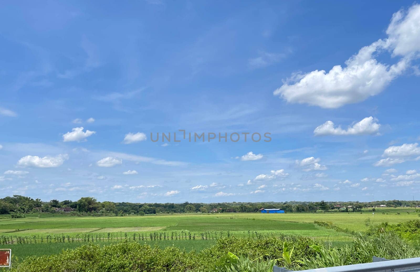 beautiful view of landscape and green view with blue sky and white cloud natural view and green fields