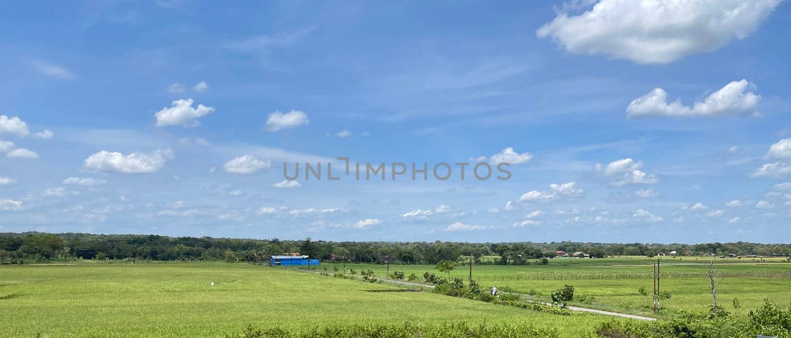 beautiful view of landscape and green view with blue sky and white cloud natural view and green fields