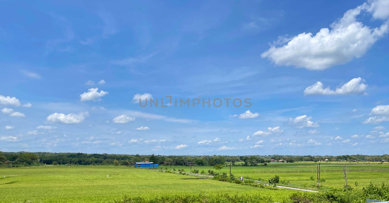 beautiful view of landscape and green view with blue sky and white cloud natural view and green fields