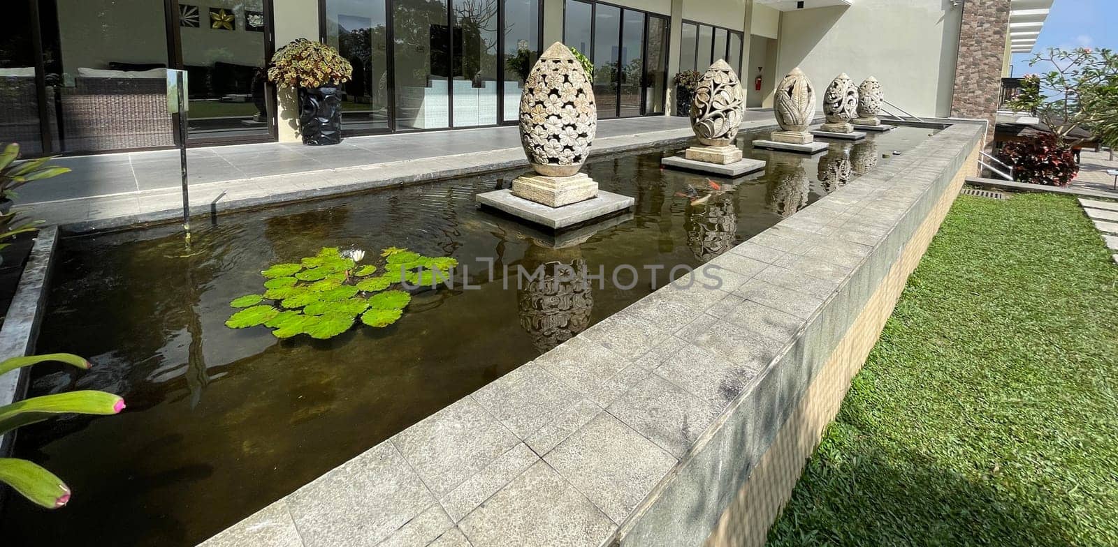 Selective focus of koi fish pond or brocade carp, with lotus plant on the water in modern pond design