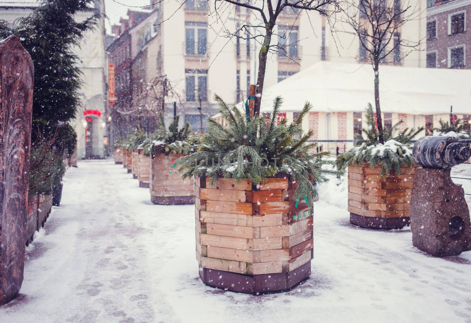 Christmas decoration of the city. spruce on the streets of Riga