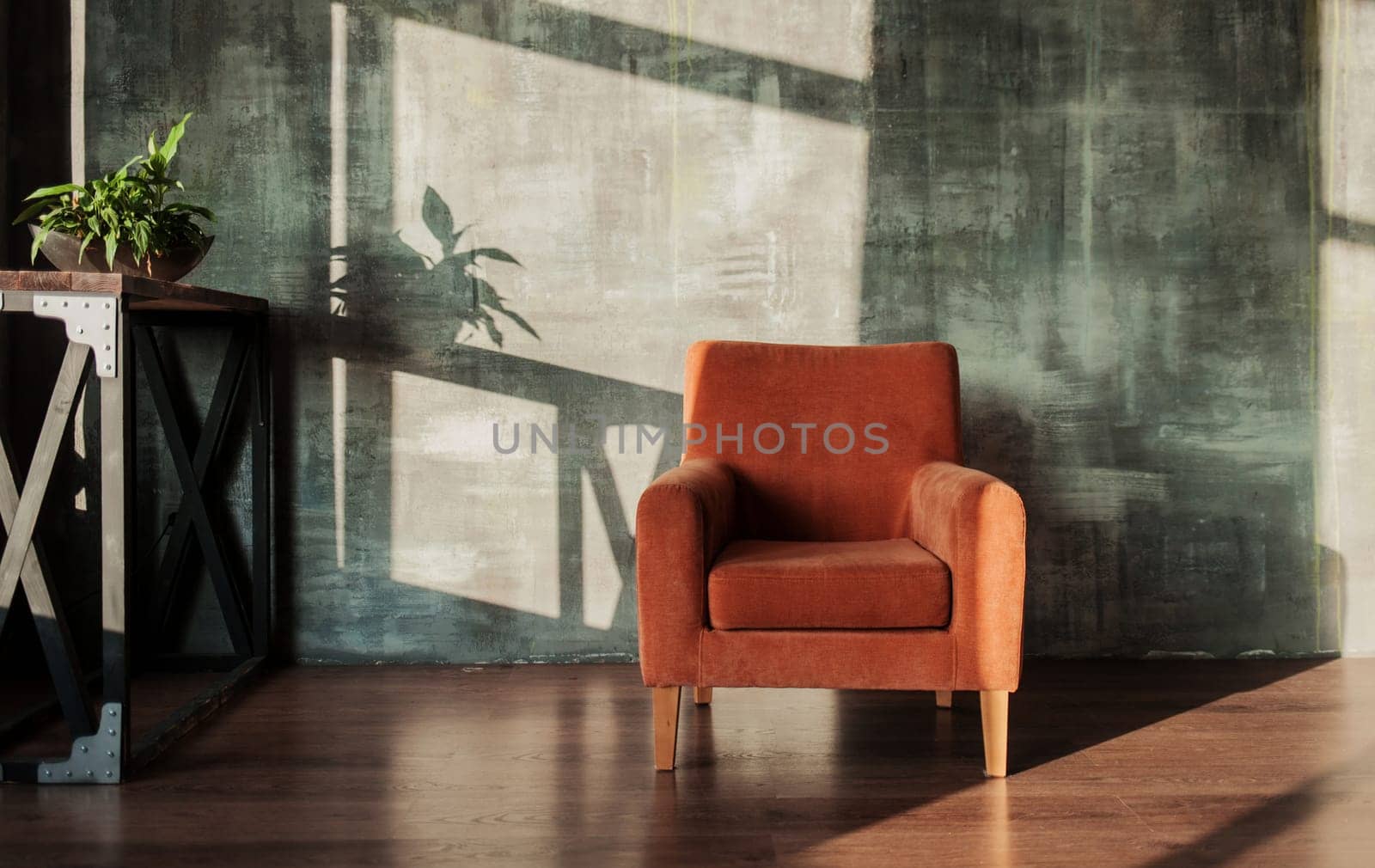armchair against wall in living room interior with plants and sunlight