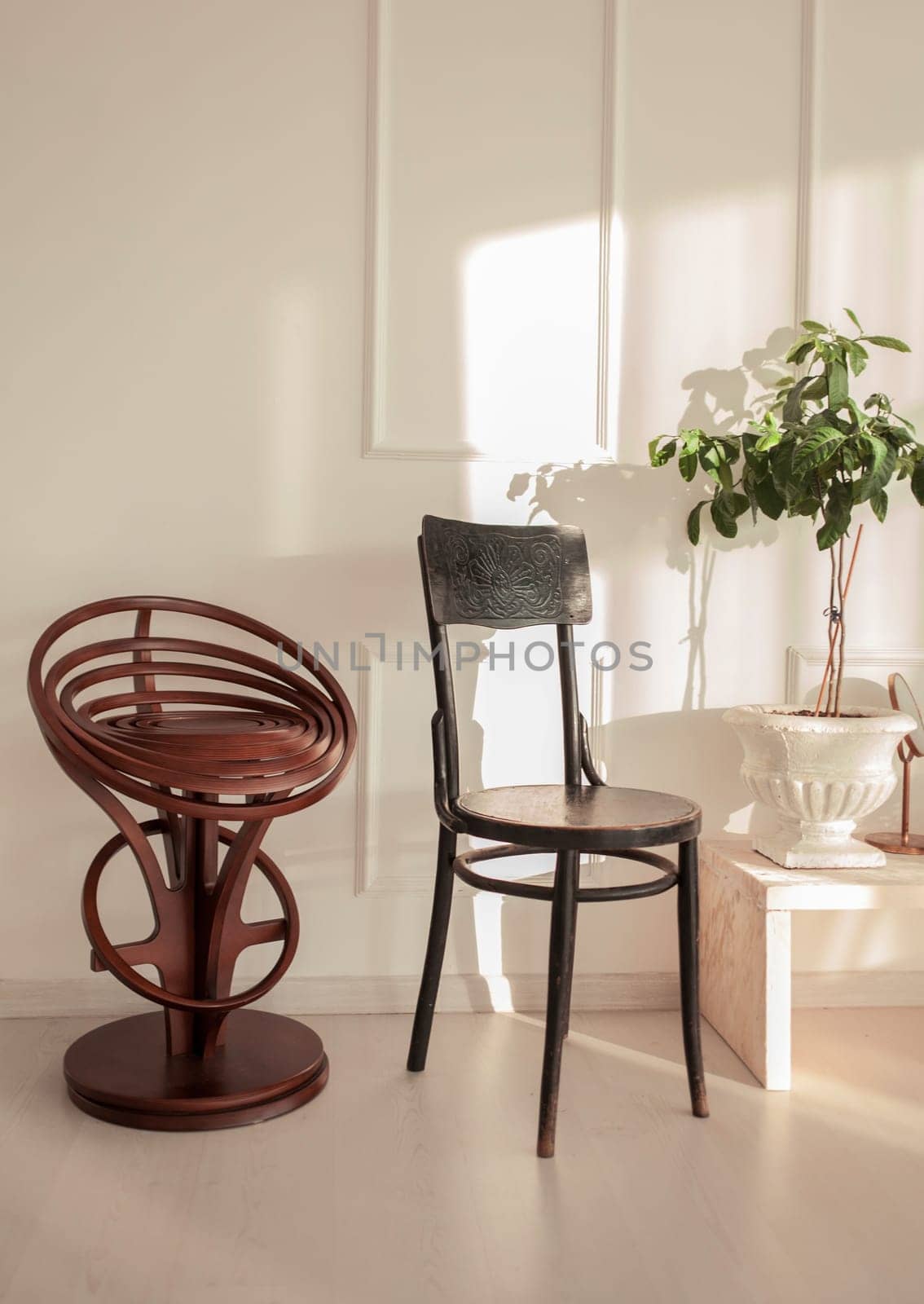 an element of the apartment's interior - chairs and plants in the photo are not walls