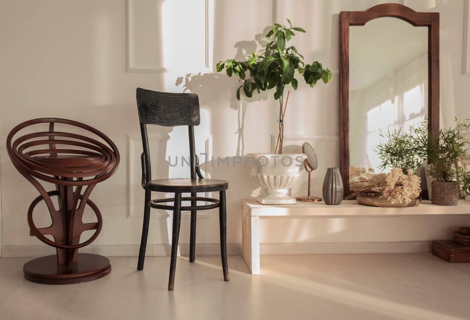 Chair and plants in white classic interior. Real photo
