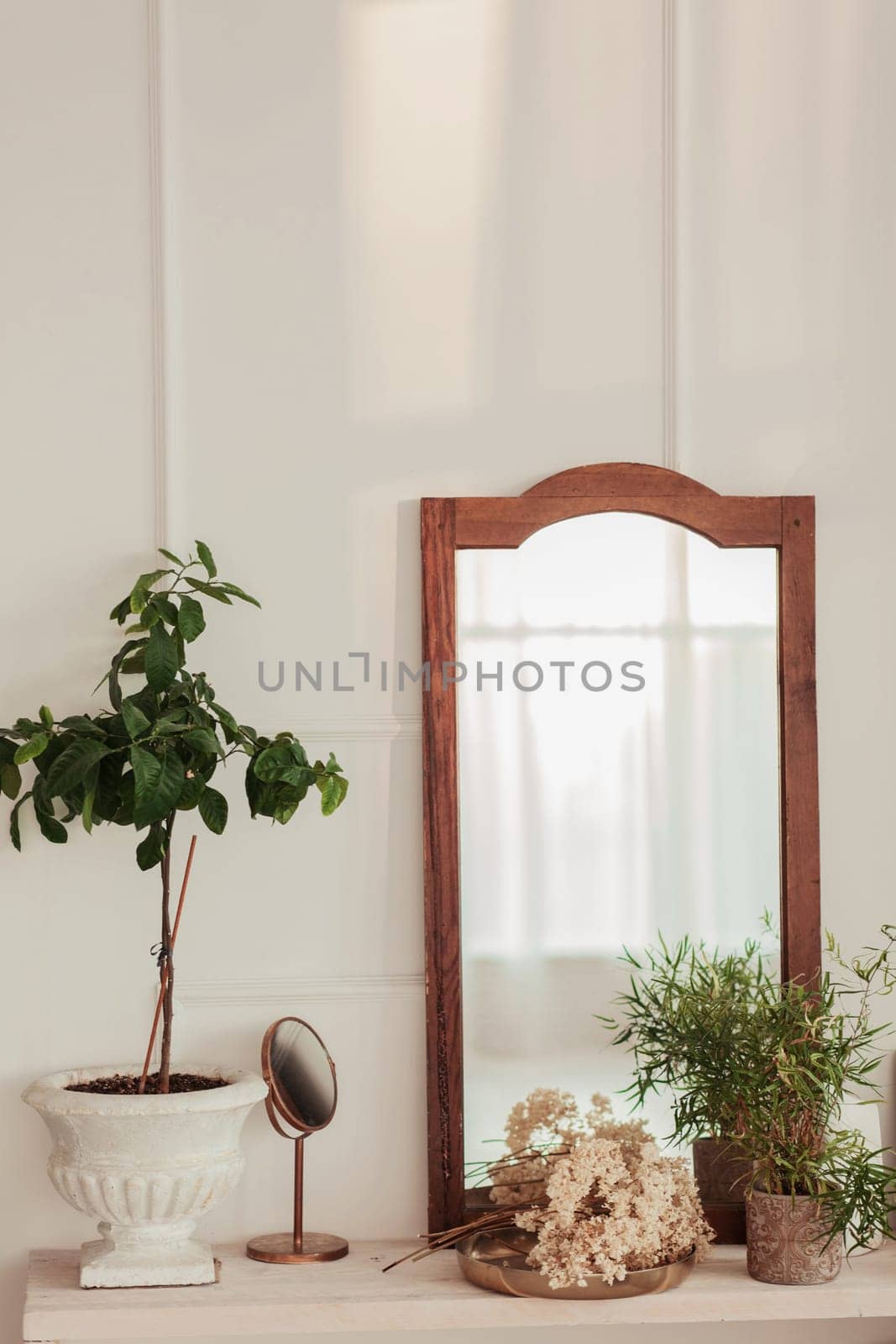elements of a classic interior decor-plants and a mirror