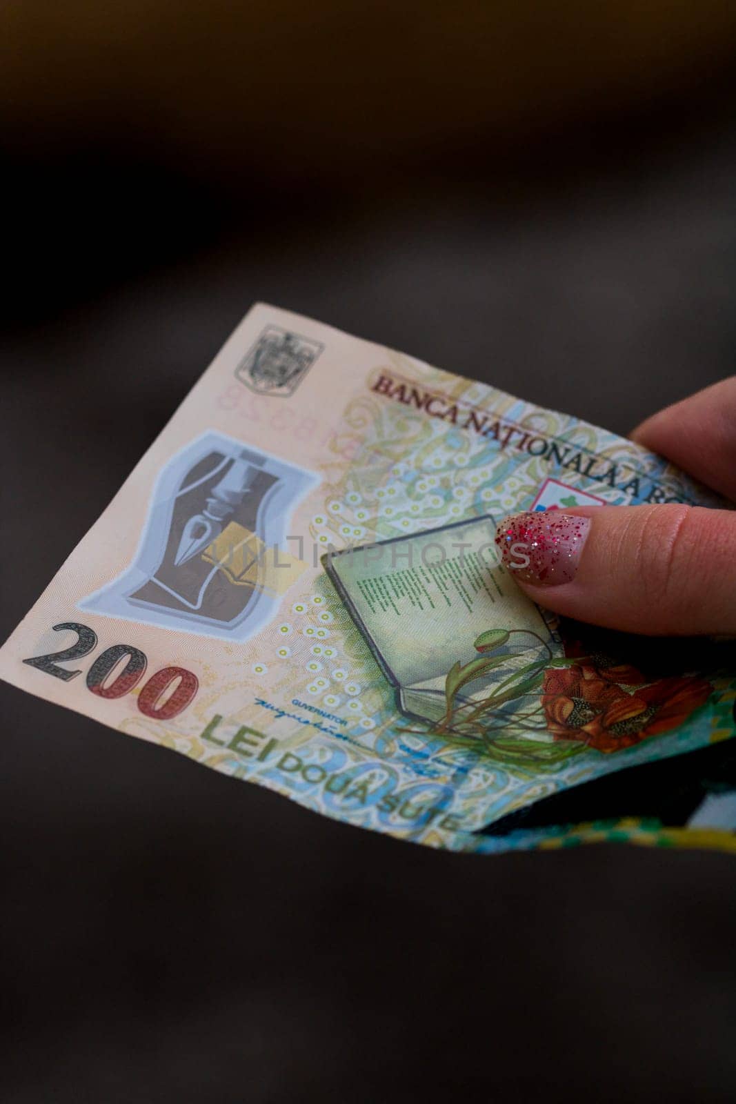 LEI money banknotes, detail photo of RON by vladispas