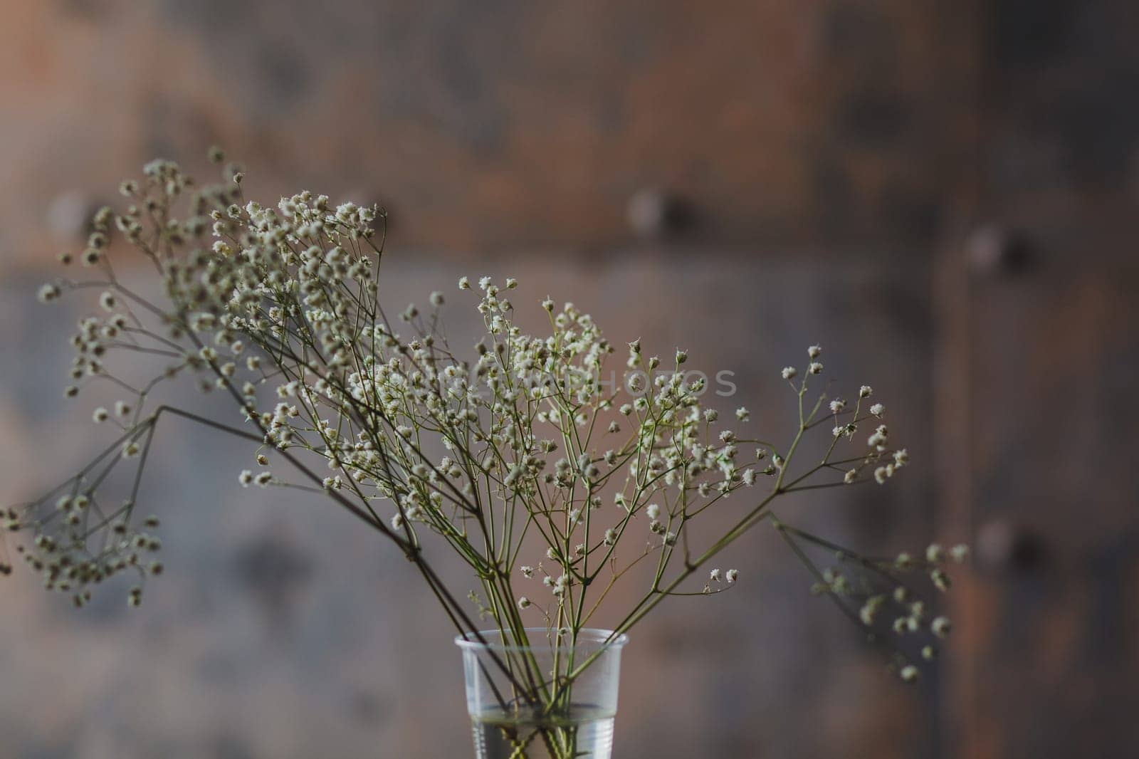 spring silky flowers in a glass of water