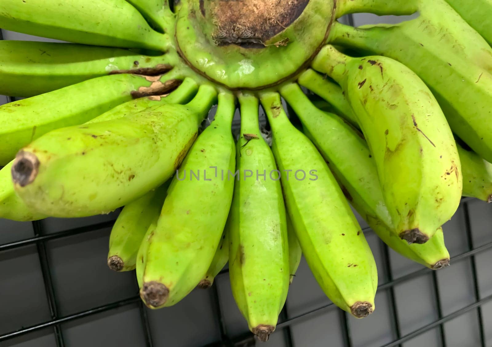 very fresh and ripe delicious banana cluster or banana hand or a bunch of bananas fruit healthy diet supermarket product
