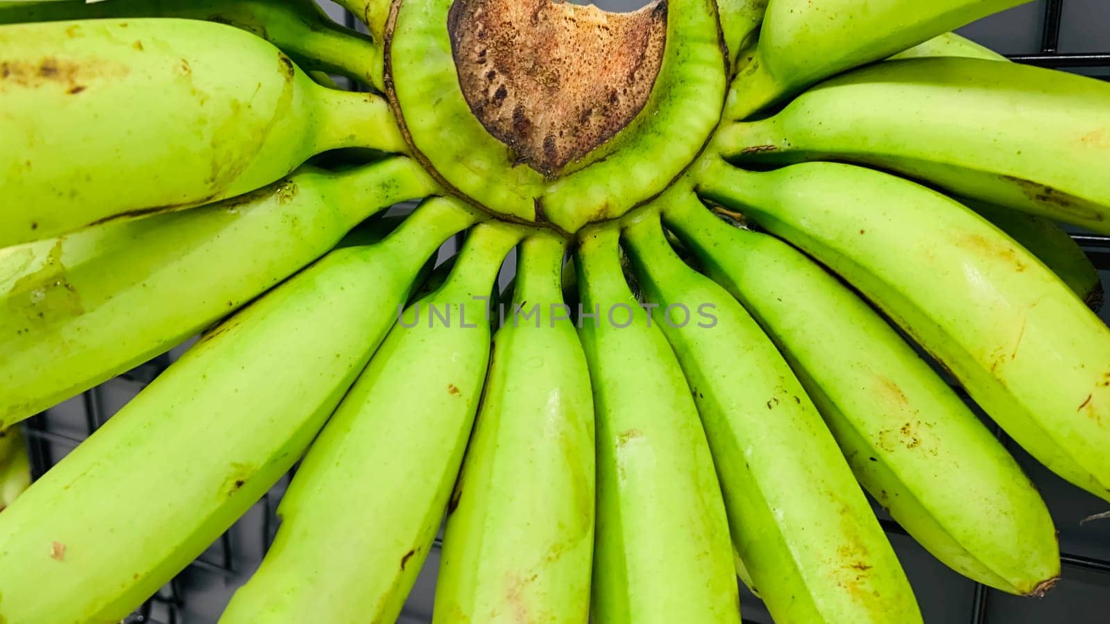 very fresh and ripe delicious banana cluster or banana hand or a bunch of bananas fruit healthy diet supermarket product