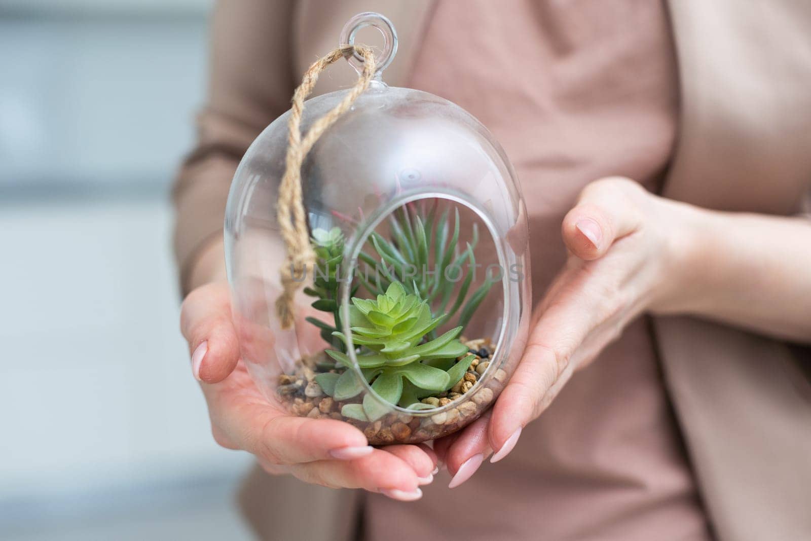 Woman holding glass jar with plant composition inside, closeup. High quality photo