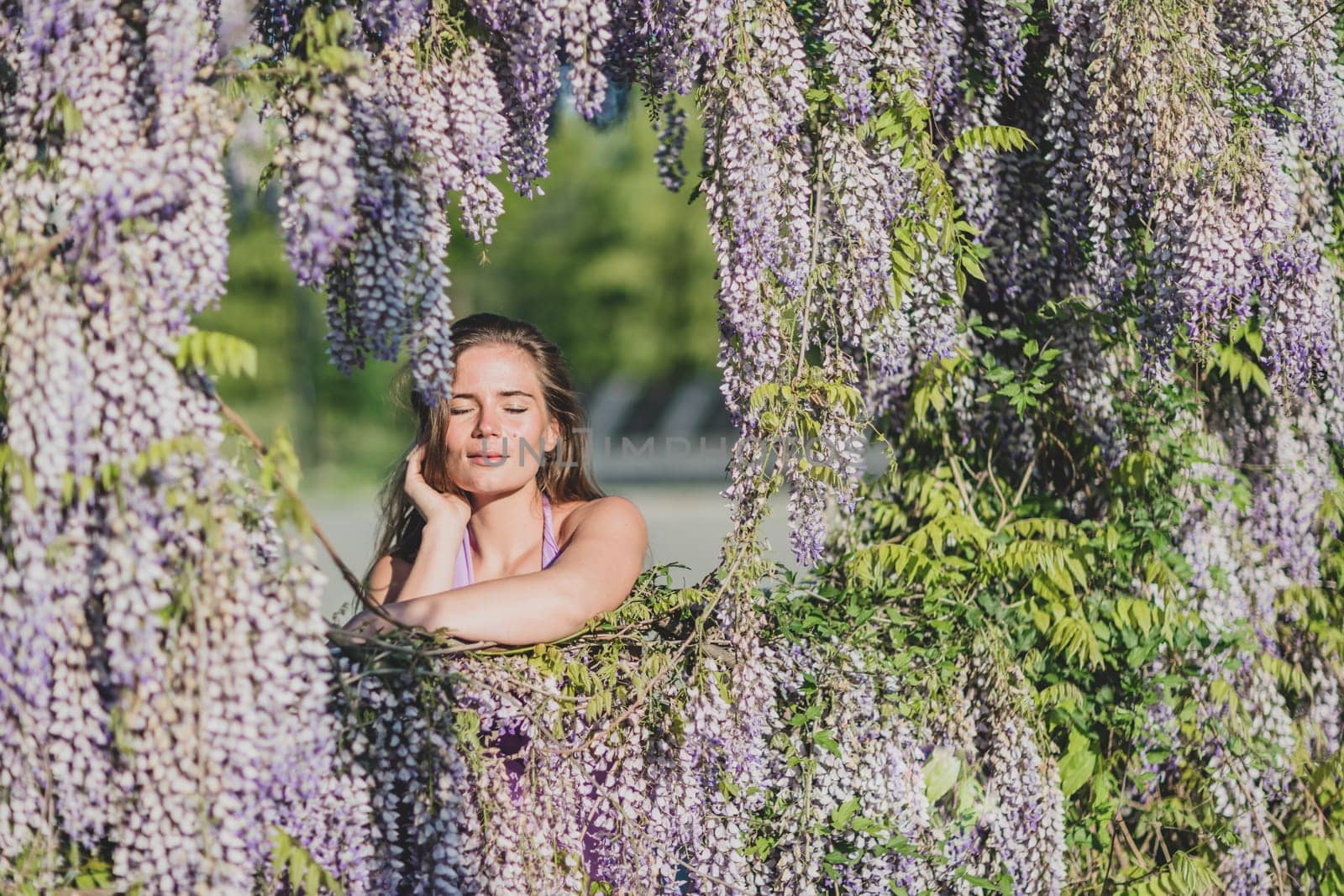 Woman wisteria lilac dress. Thoughtful happy mature woman in purple dress surrounded by chinese wisteria.