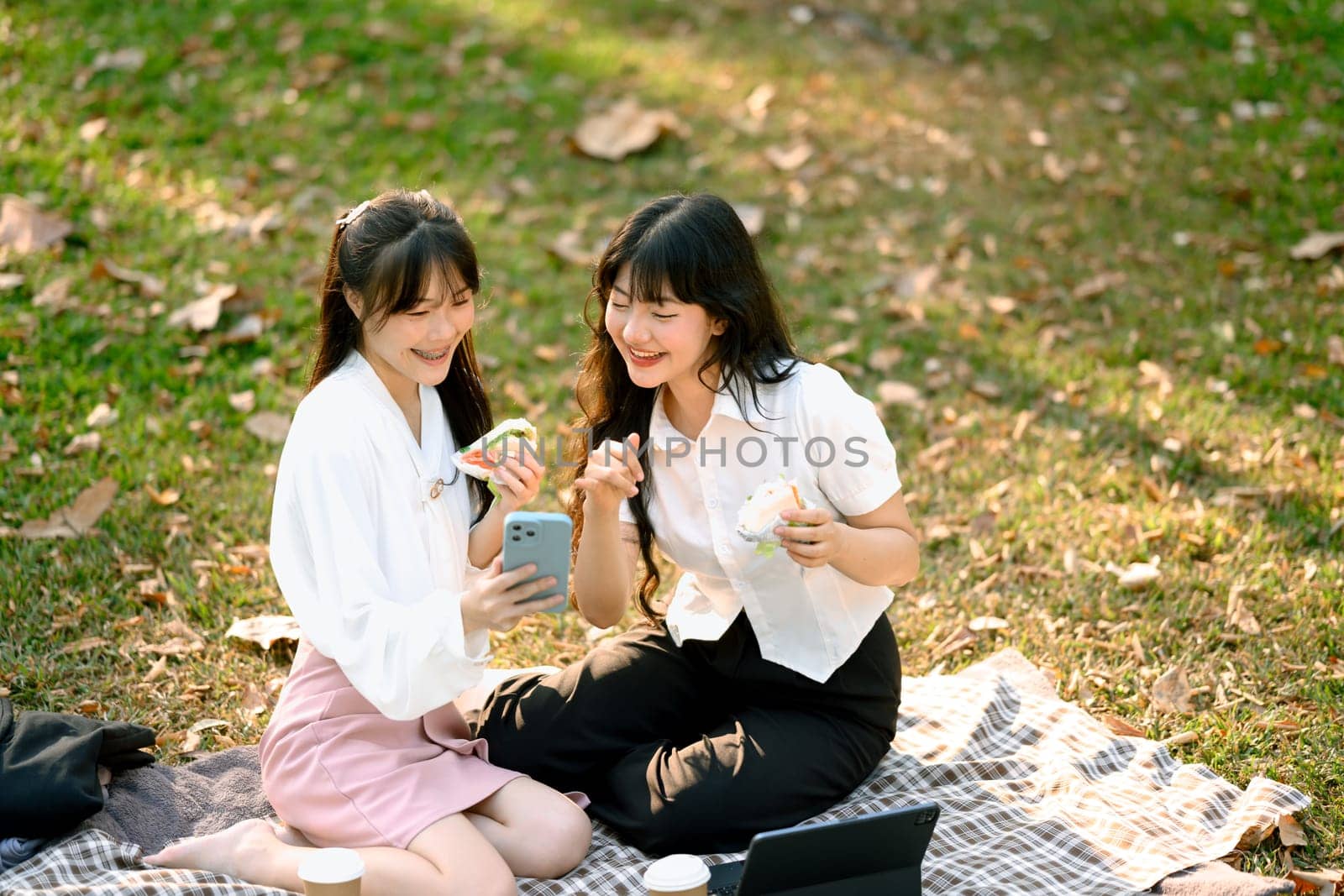 Smiling young business colleagues with laptop having lunch on green grass in park by prathanchorruangsak
