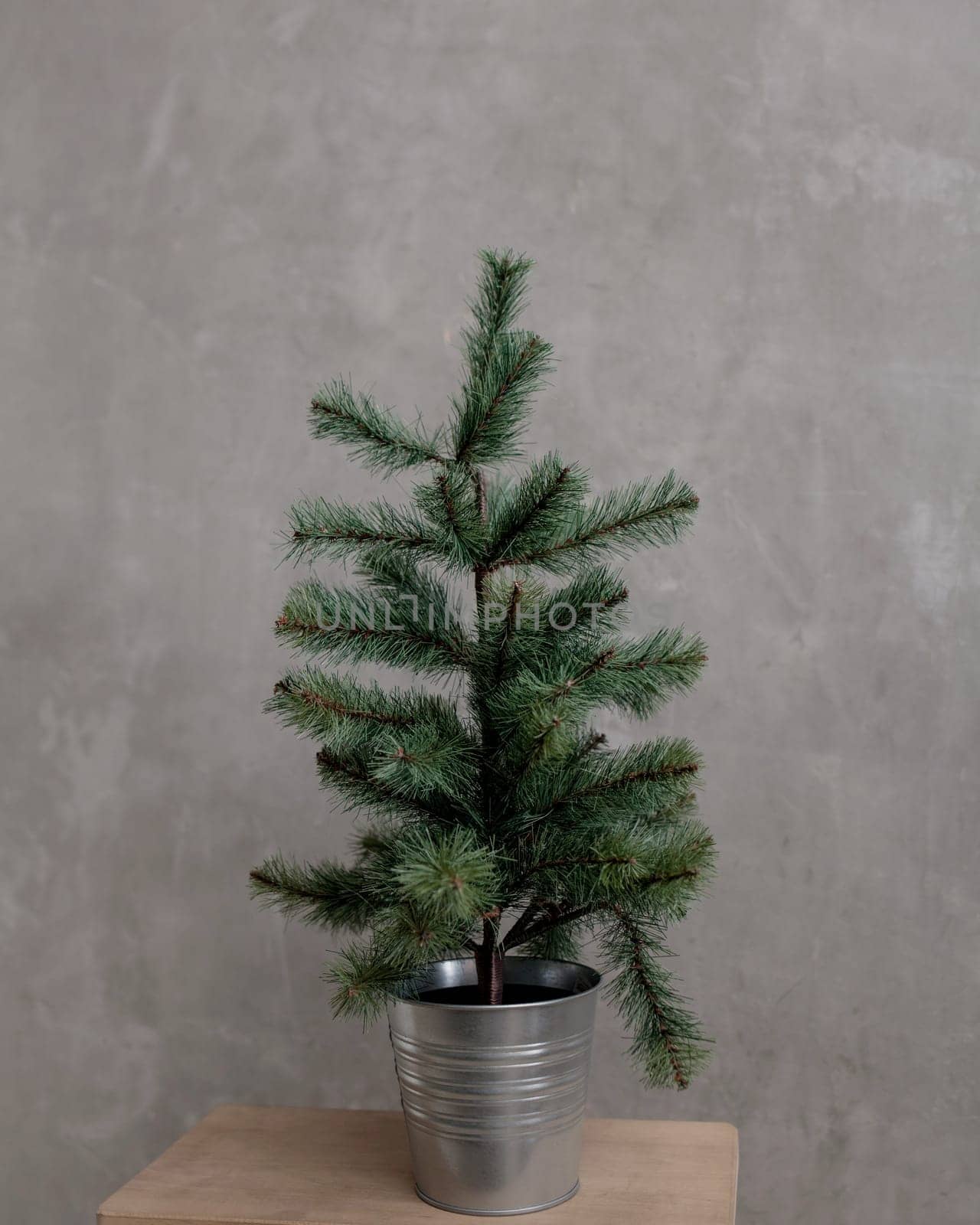 small green spruce tree in the room for new year