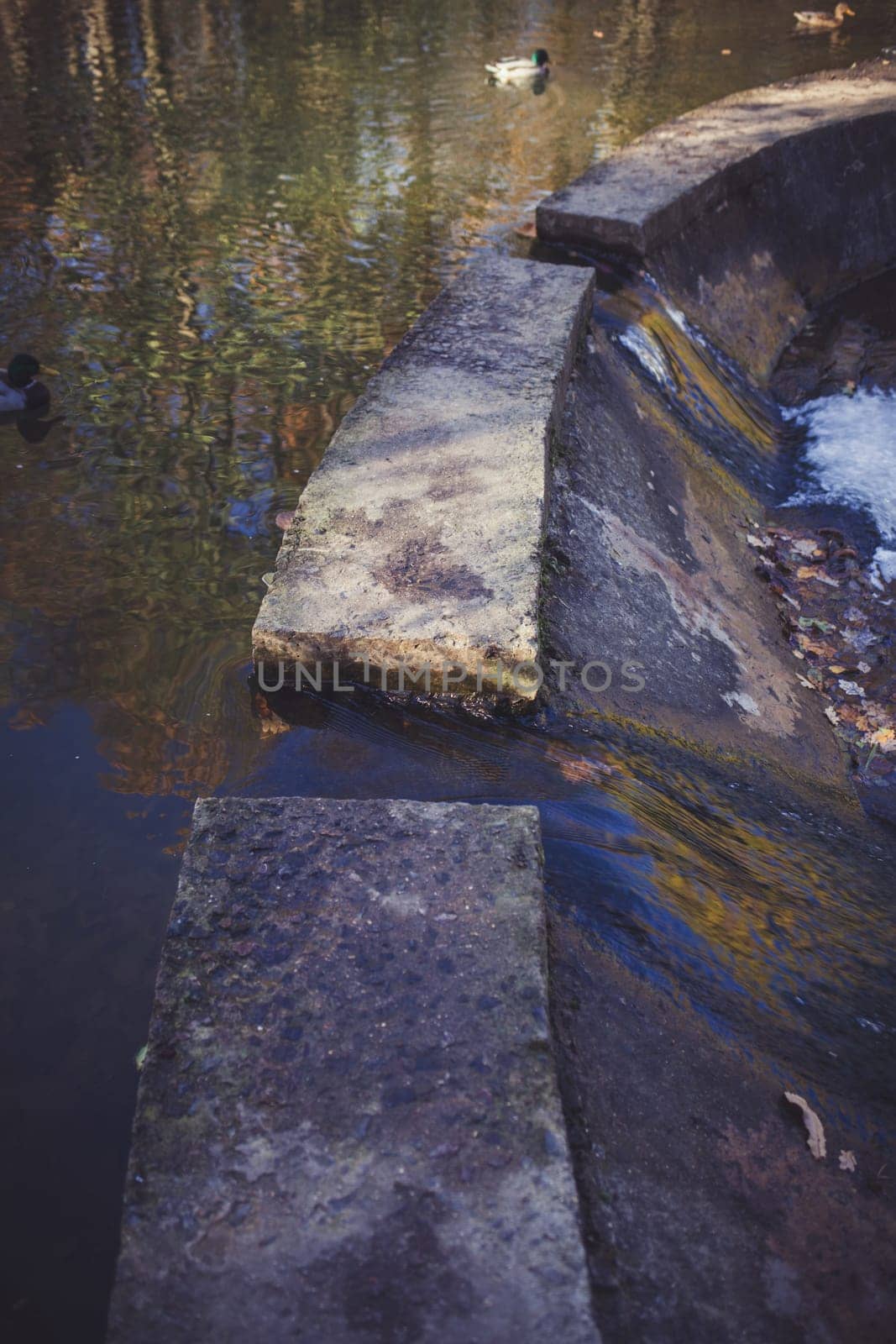 Stepping stones by Ladouski