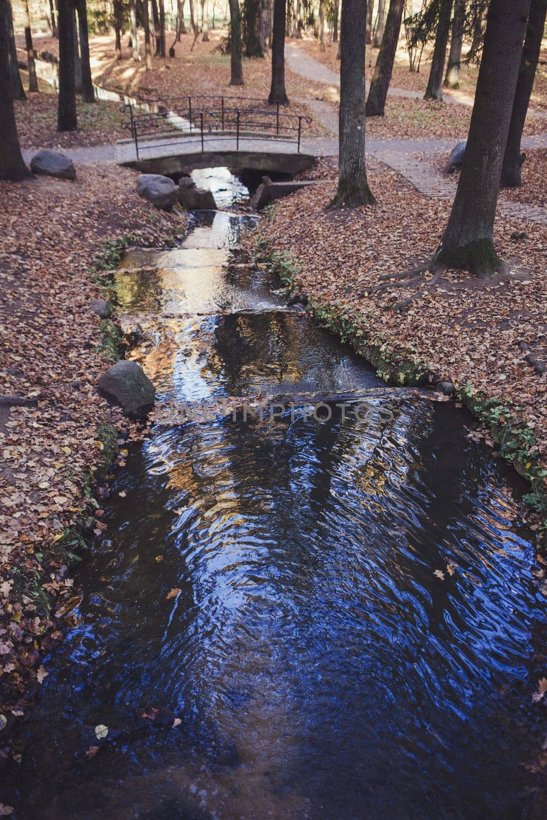 Water stream in autumn park europe