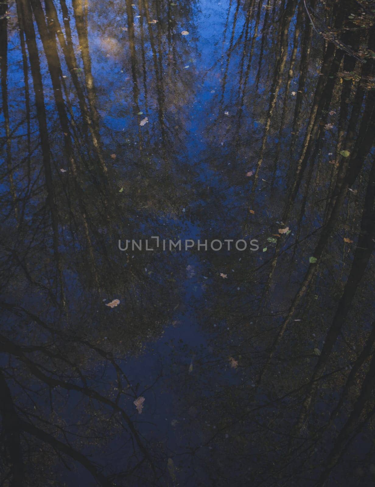 autumn landscape. the trees are reflected in the blue water