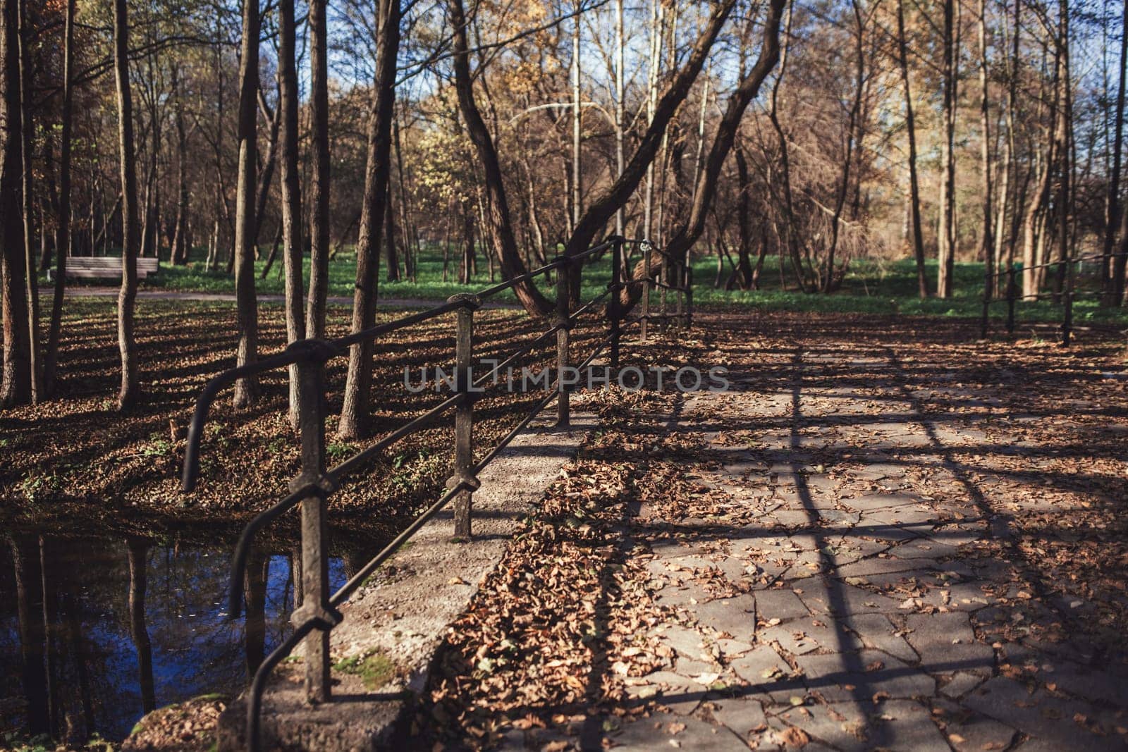 old stone bridge over the river in autumn Park