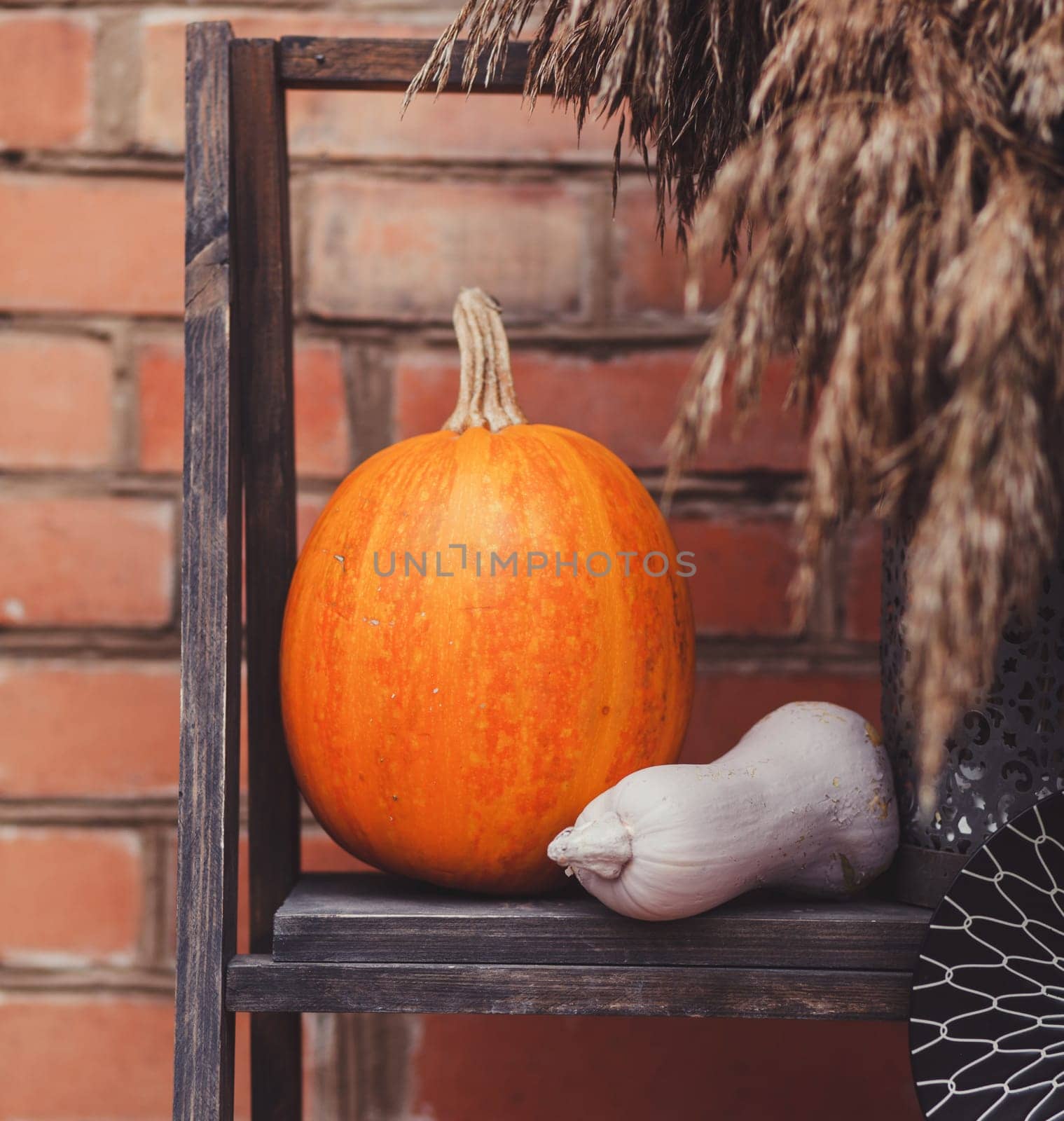 Pumpkin lays near the building. Restaurant. Decoration. Design. Halloween. 