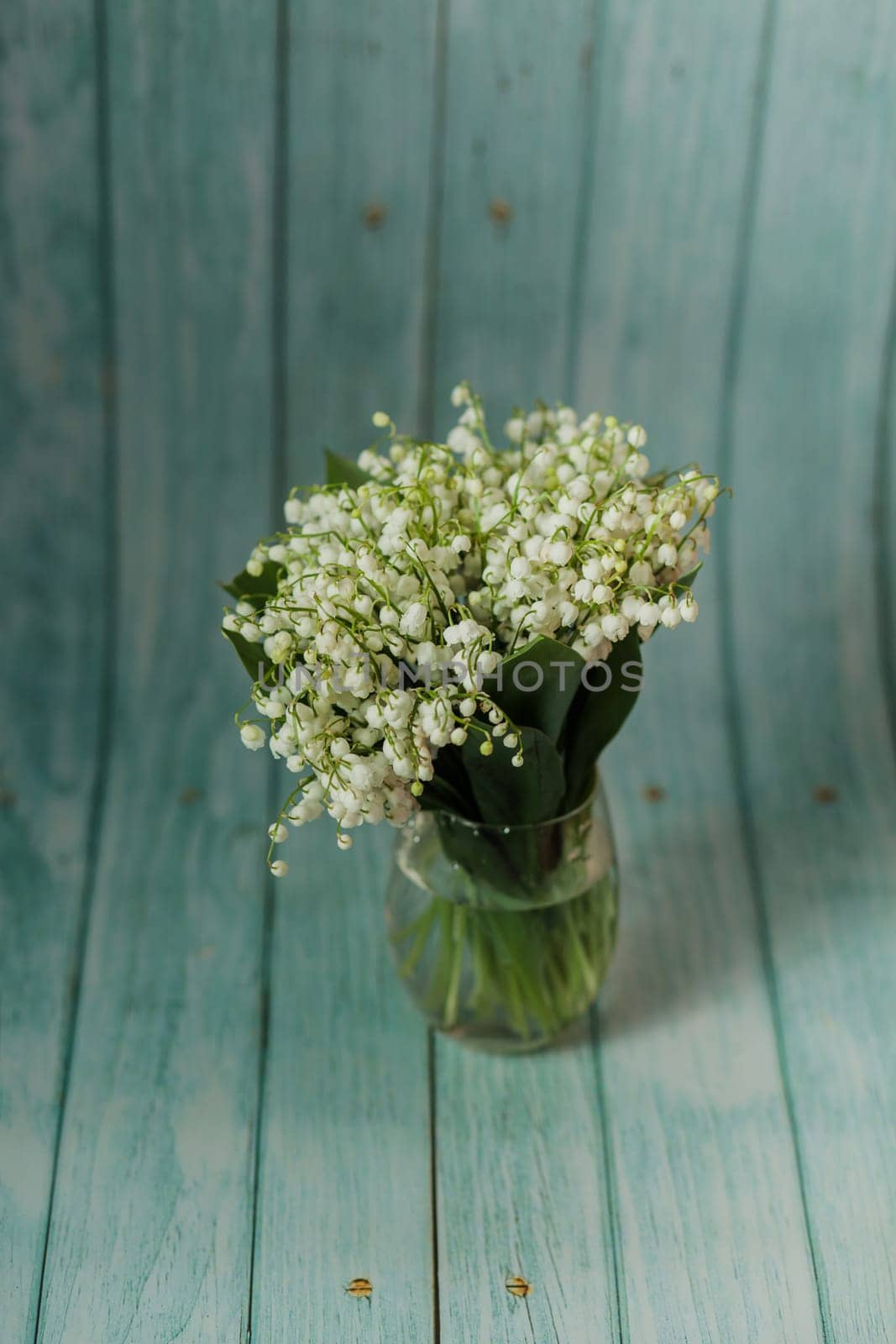 spring flowers in vase on wooden background