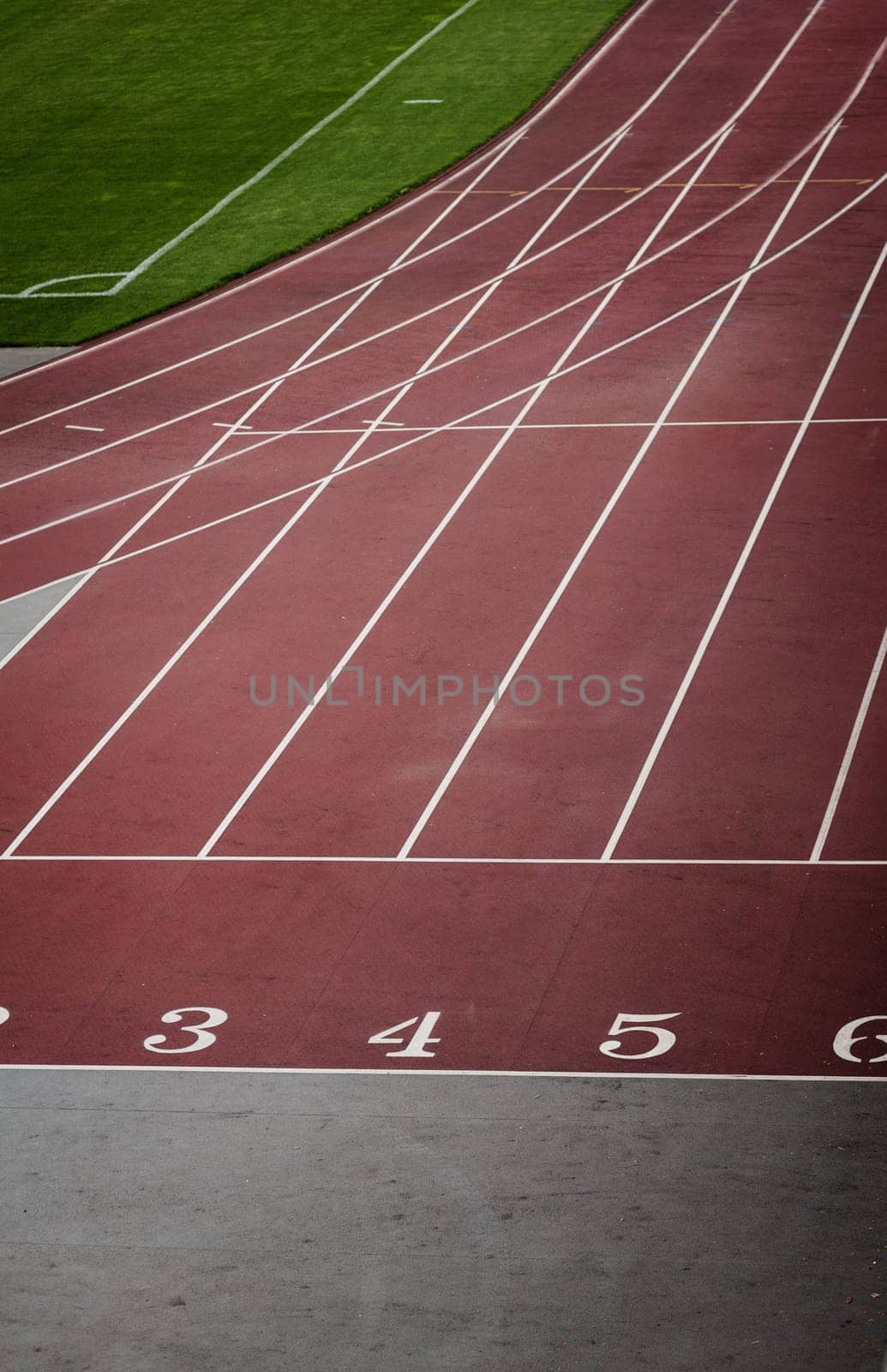 Starting grid of race track at the stadium. Athlete track