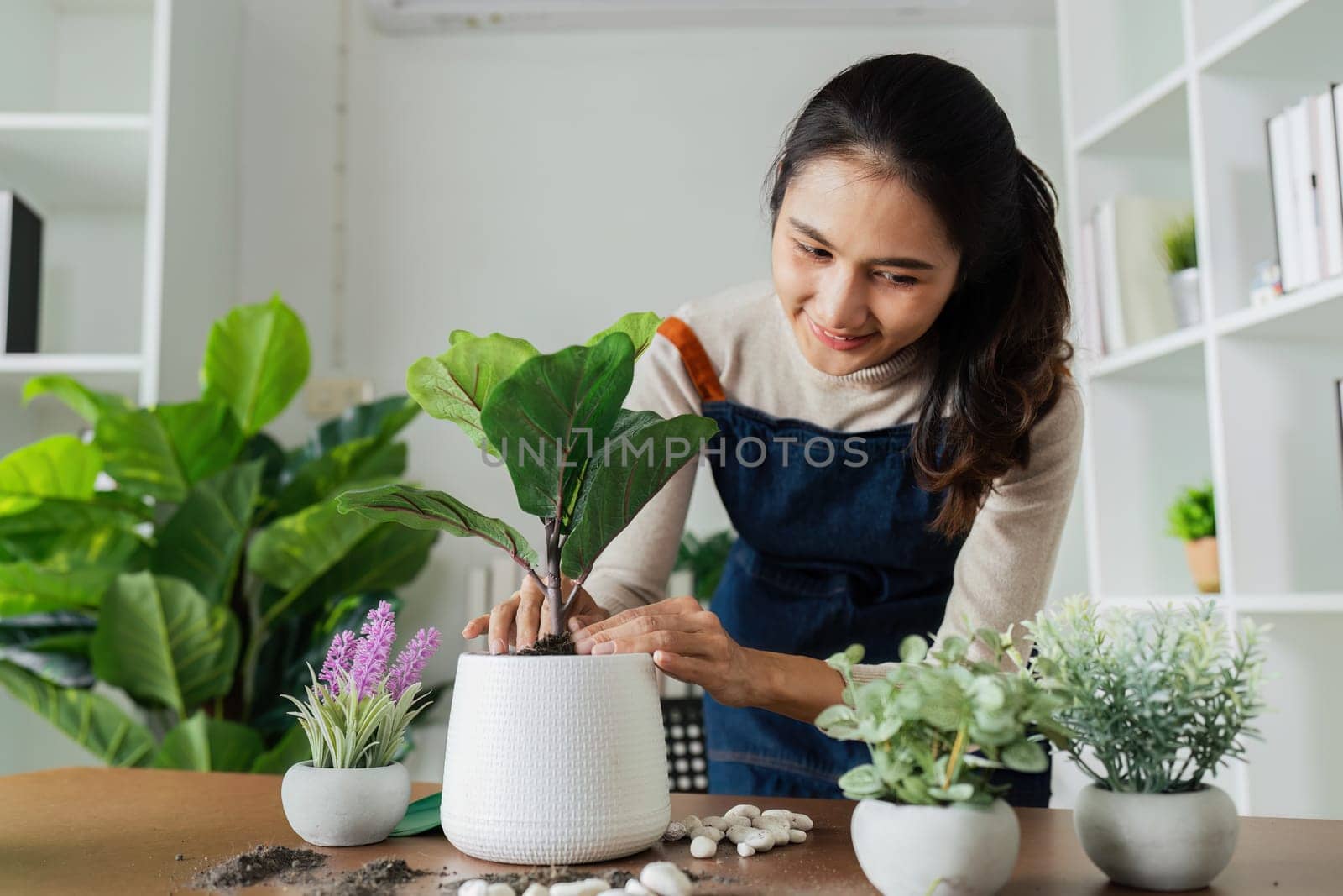 woman plant a flower in a pot to decorate the house to create a good atmosphere by itchaznong