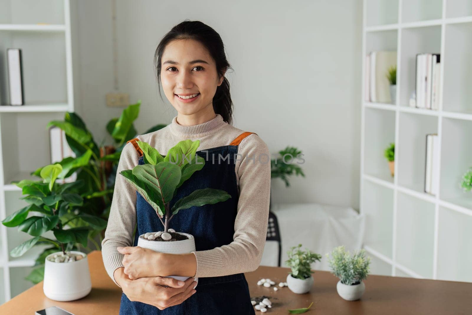Portrait of a smiling young woman holding potted plant in the house and taking care of the greenery of the house.