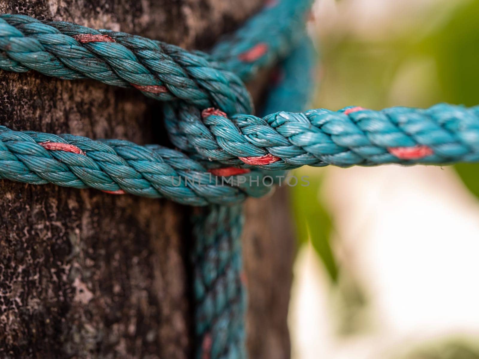 The nylon rope was tightly tied to the big tree