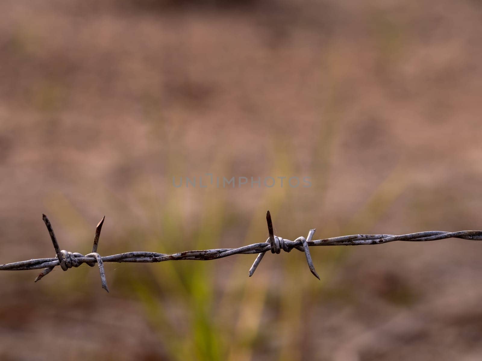 Rusty barbed wire fences are sharp and aggressive by Satakorn