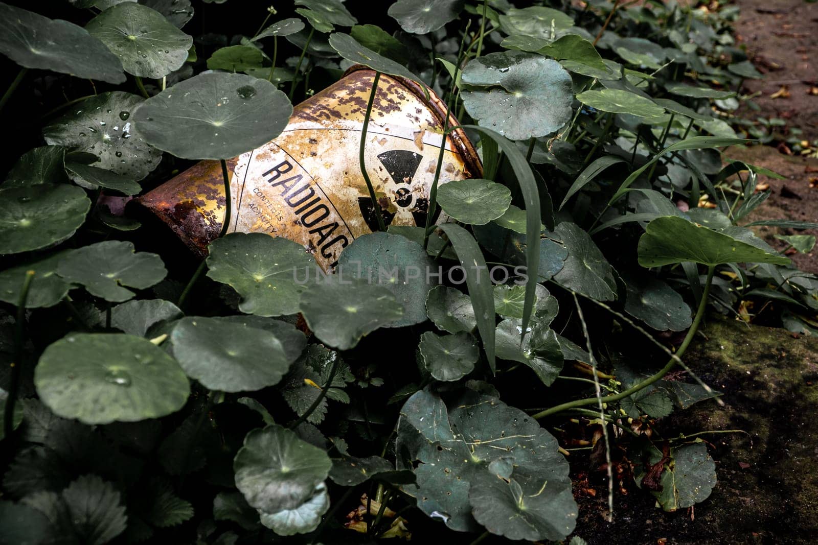 Industrial waste Radioactive material container left behind in the weeds by Satakorn