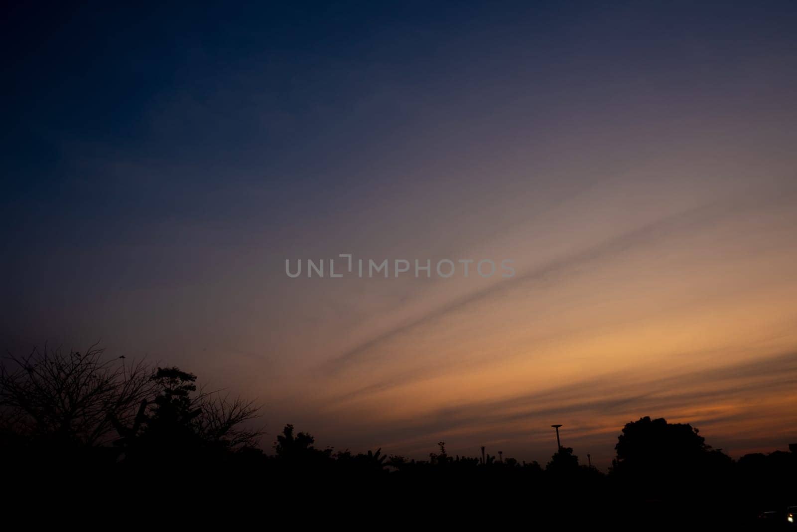 Silhouette of treetops on the side of a country road at the evening light vivid color sky by Satakorn