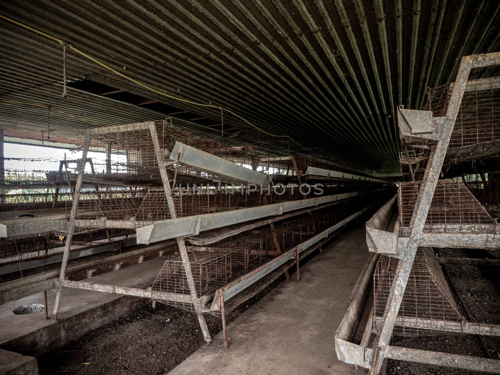 The empty laying cages of poultry houses, old, decayed, abandoned in the chicken farm