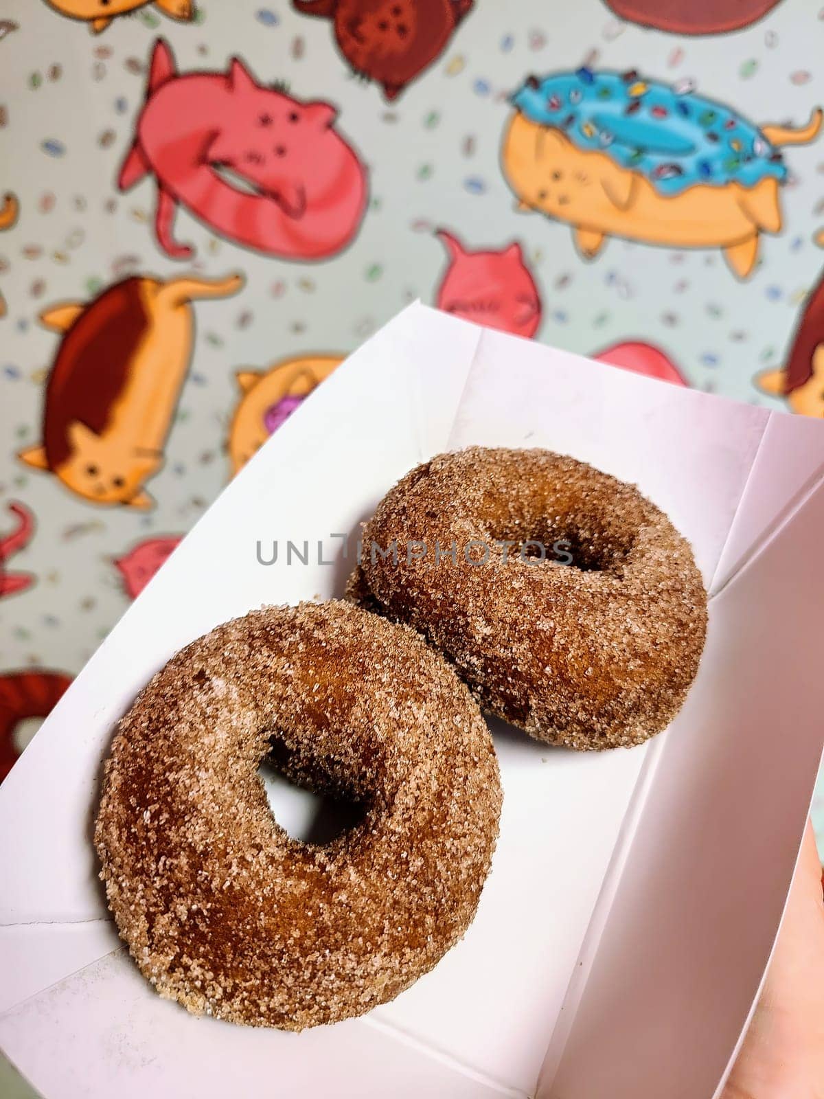 Freshly baked, sugar-coated donuts in a white box, set against a playful, colorful cat-patterned wallpaper, in an Auburn, Indiana restaurant, 2023.