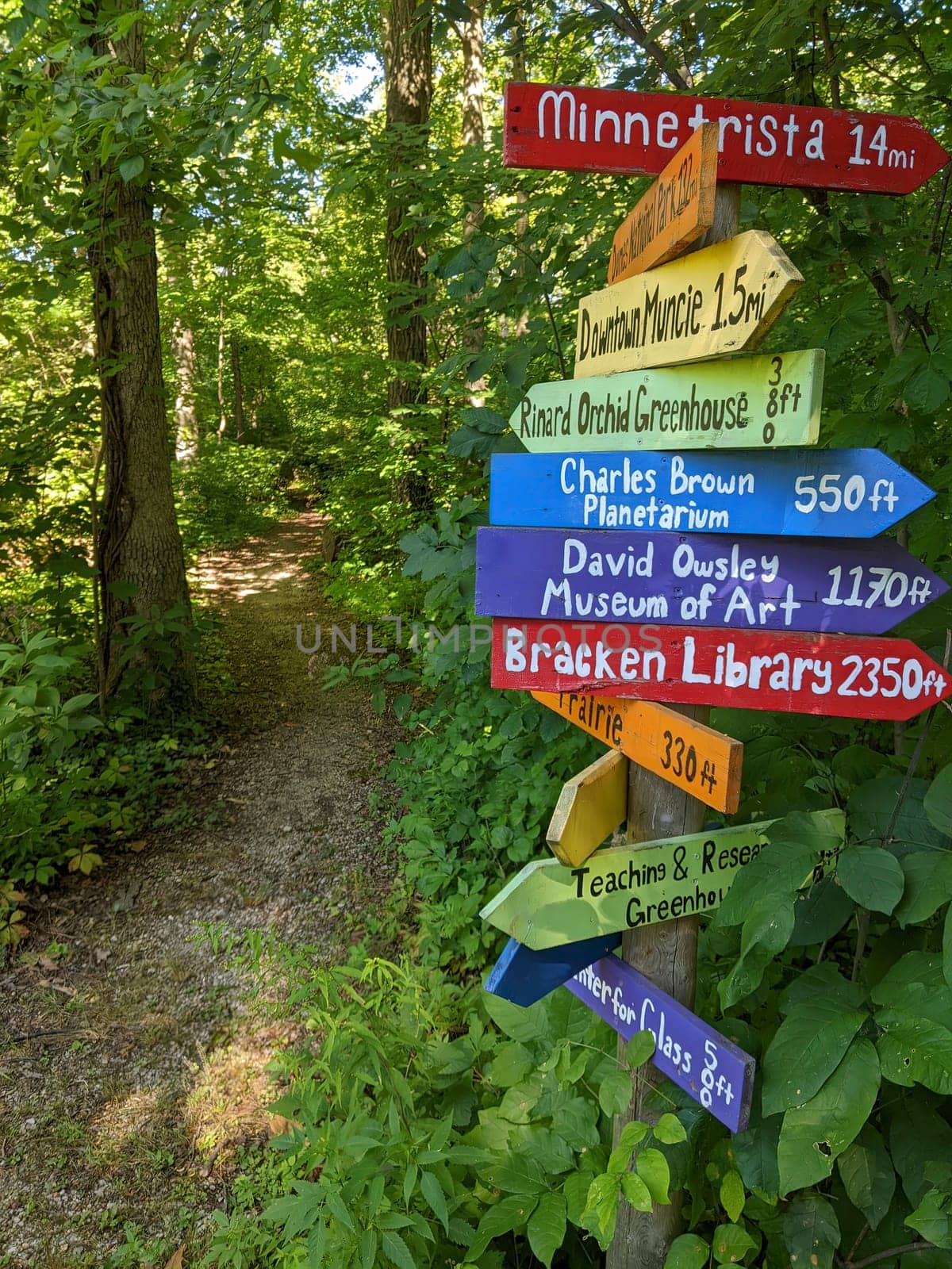 Colorful signpost in lush Indiana woodland directs to Muncie destinations, inviting exploration and discovery on a sunny day