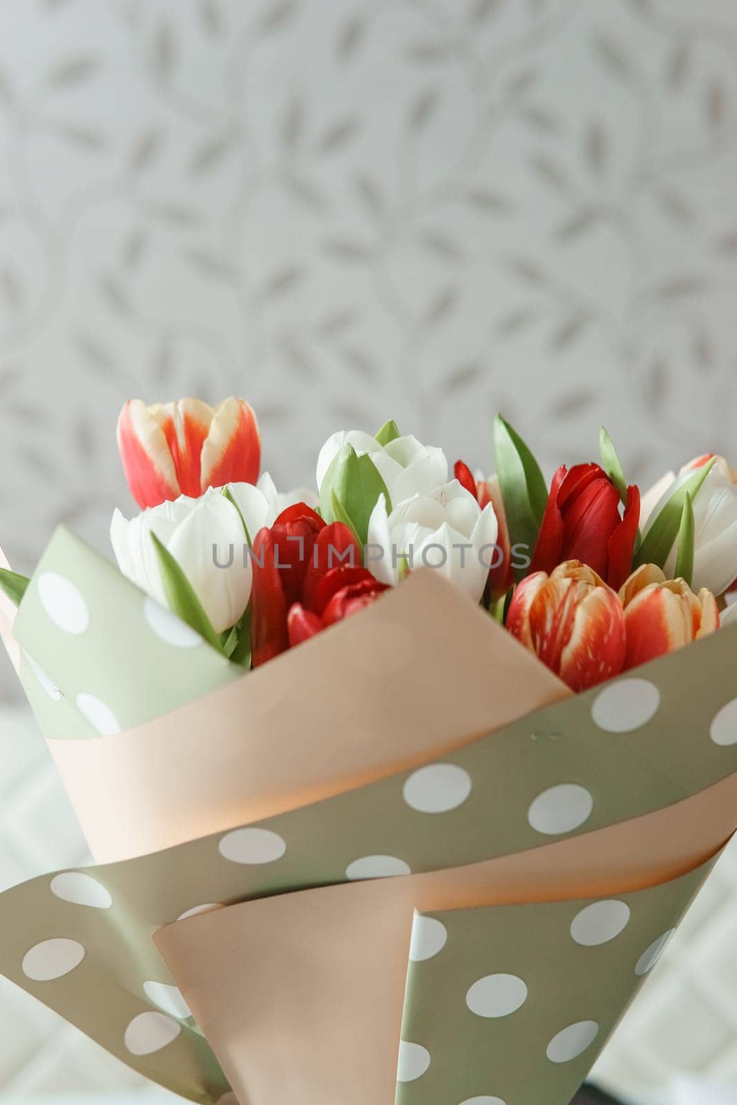 Celebration of Beauty: Tulips in Close-up as a Gift for March 8th