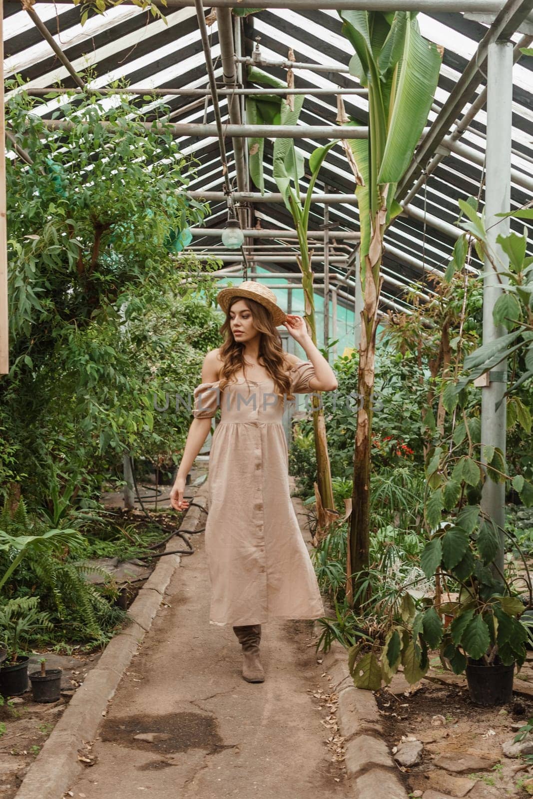 A beautiful young woman takes care of plants in a greenhouse. The concept of gardening and an eco-friendly lifestyle