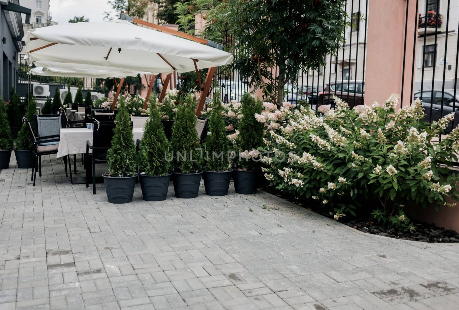 cozy street with cafe tables in Europe. Landscaping of the outdoor terrace with thuja